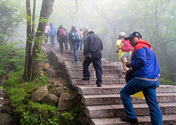 恣雅保洁组织团队爬山